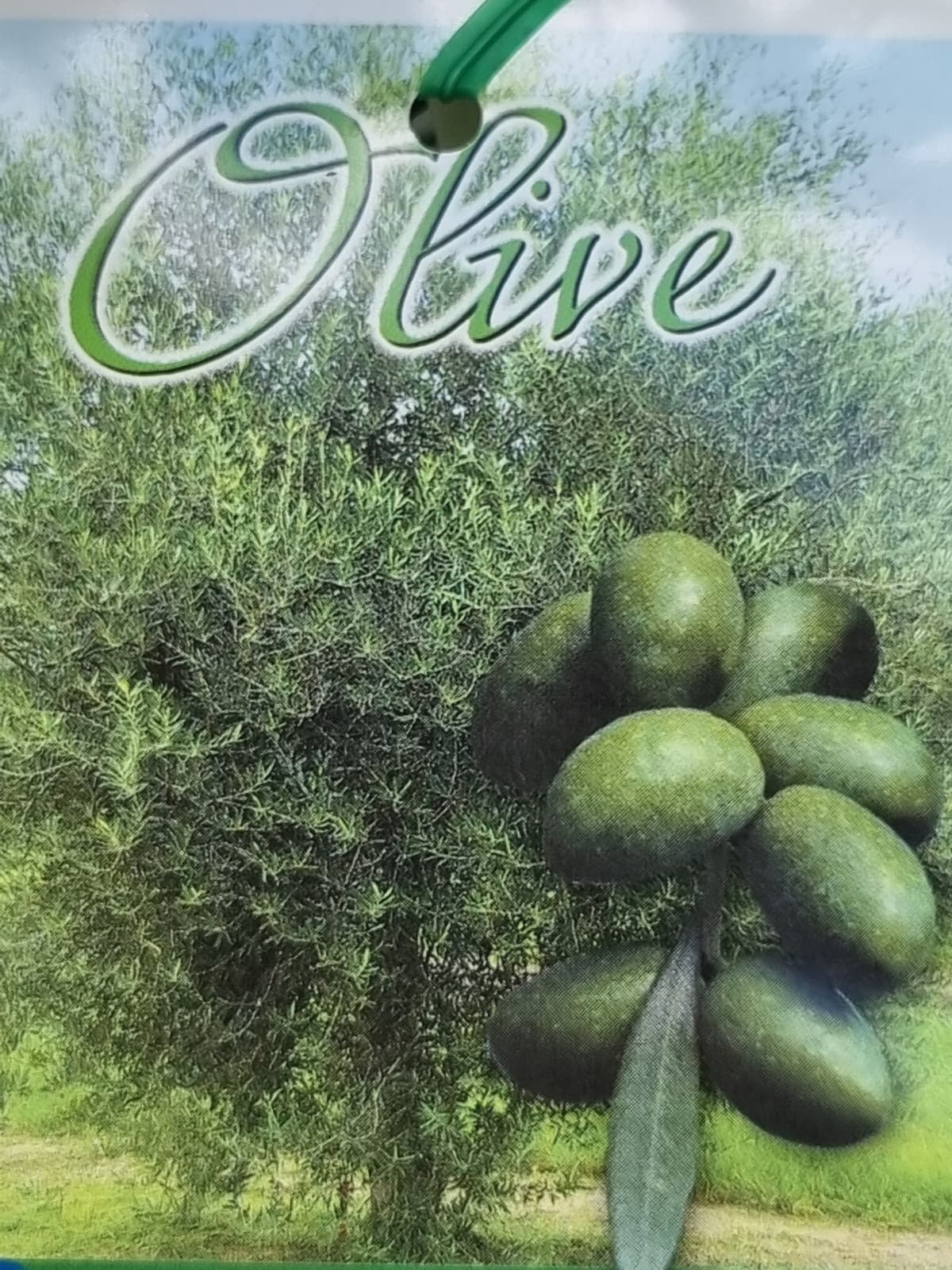 Olive tree with green olives and the word 'Olive' displayed.